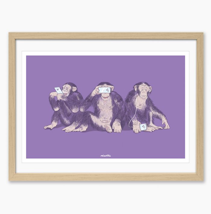 cadre représentant la singesse minastrie